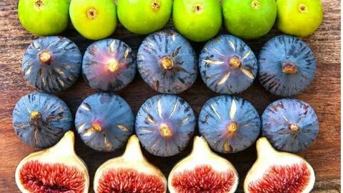 فروش عمده انجیر سبز و زرد و سیاه تازه + قیمت کف بازار